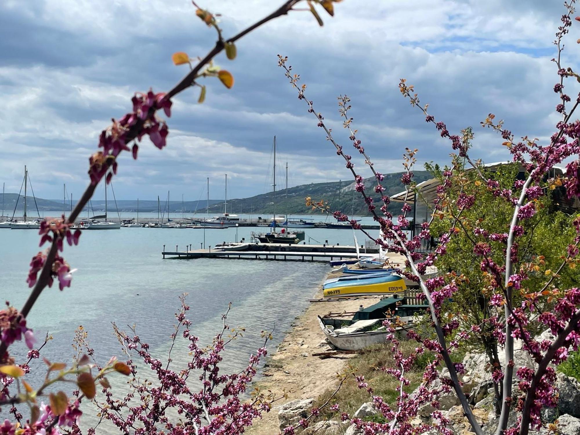 Lotos Hotel Balchik Exterior photo